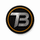 Term BBQ logo