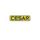 Grupo Cesar  logo